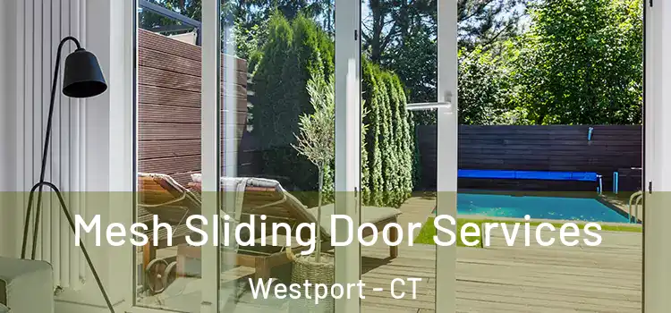 Mesh Sliding Door Services Westport - CT